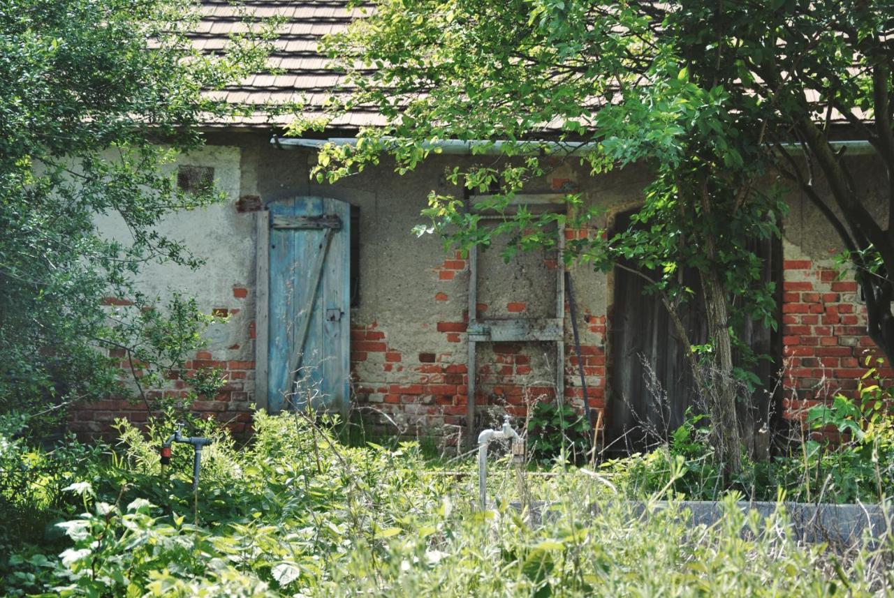 Ferienhaus Erna Доберлуг-Кирххайн Экстерьер фото