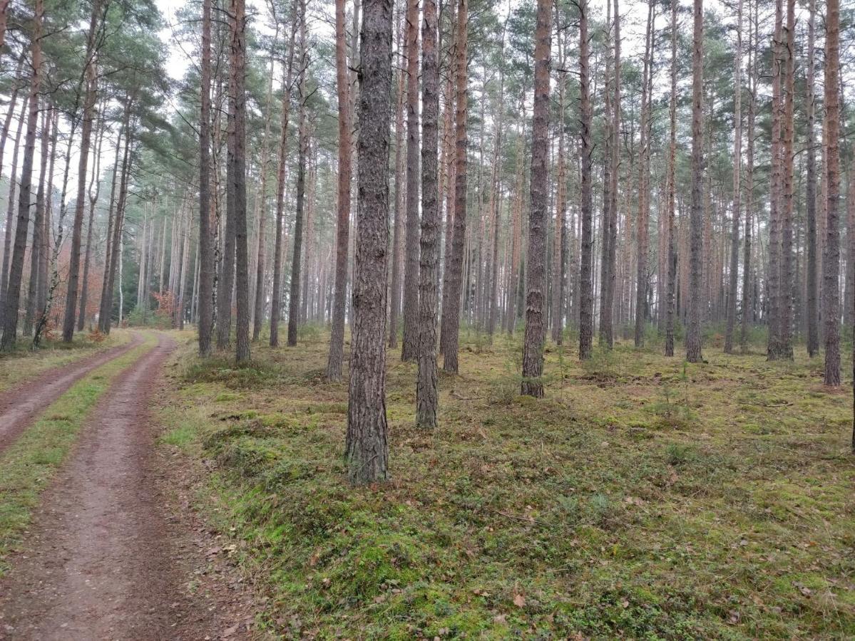 Ferienhaus Erna Доберлуг-Кирххайн Экстерьер фото
